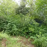 فيلة Casa Batia *