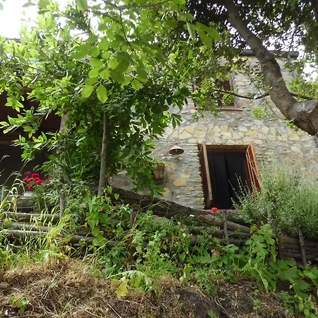 Casa Batia 别墅
