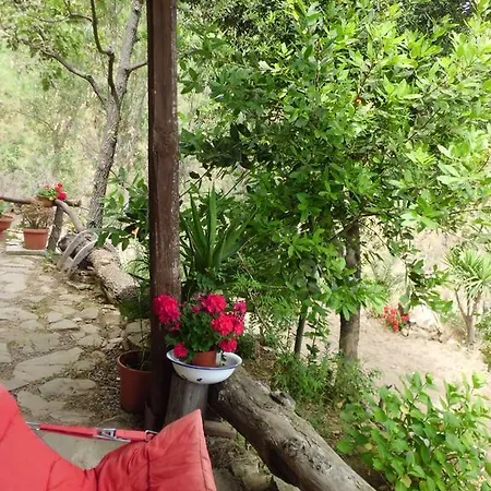 Villa Casa Batia *